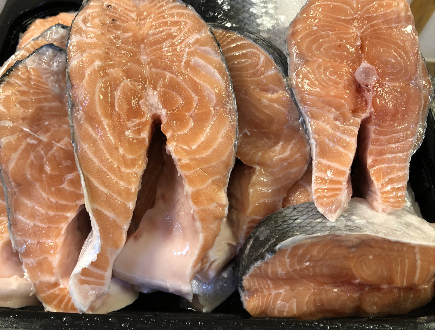 Łosoś Dzwonko